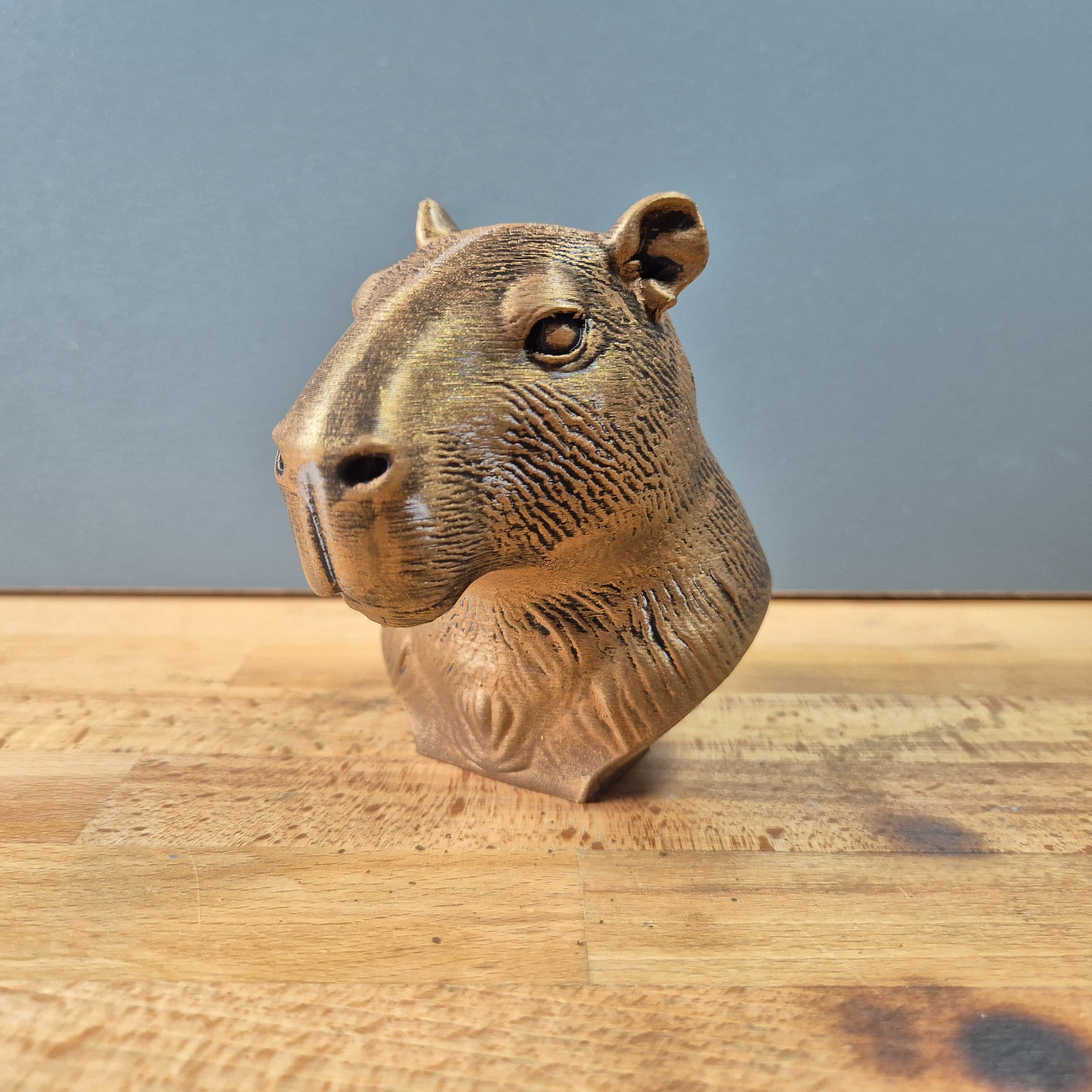 Capybara – detailreiche Wasserschwein-Büste mit ruhigem Blick und feinem Fellrelief | 19 Farben & 3 Größen | Made in Germany