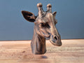 Giraffe – detailreiche Tierbüste mit Stirnzapfen, großen Ohren und langem Hals | 19 Farben & 3 Größen | Made in Germany