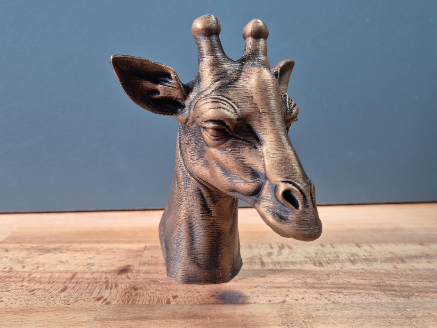 Giraffe – detailreiche Tierbüste mit Stirnzapfen, großen Ohren und langem Hals | 19 Farben & 3 Größen | Made in Germany
