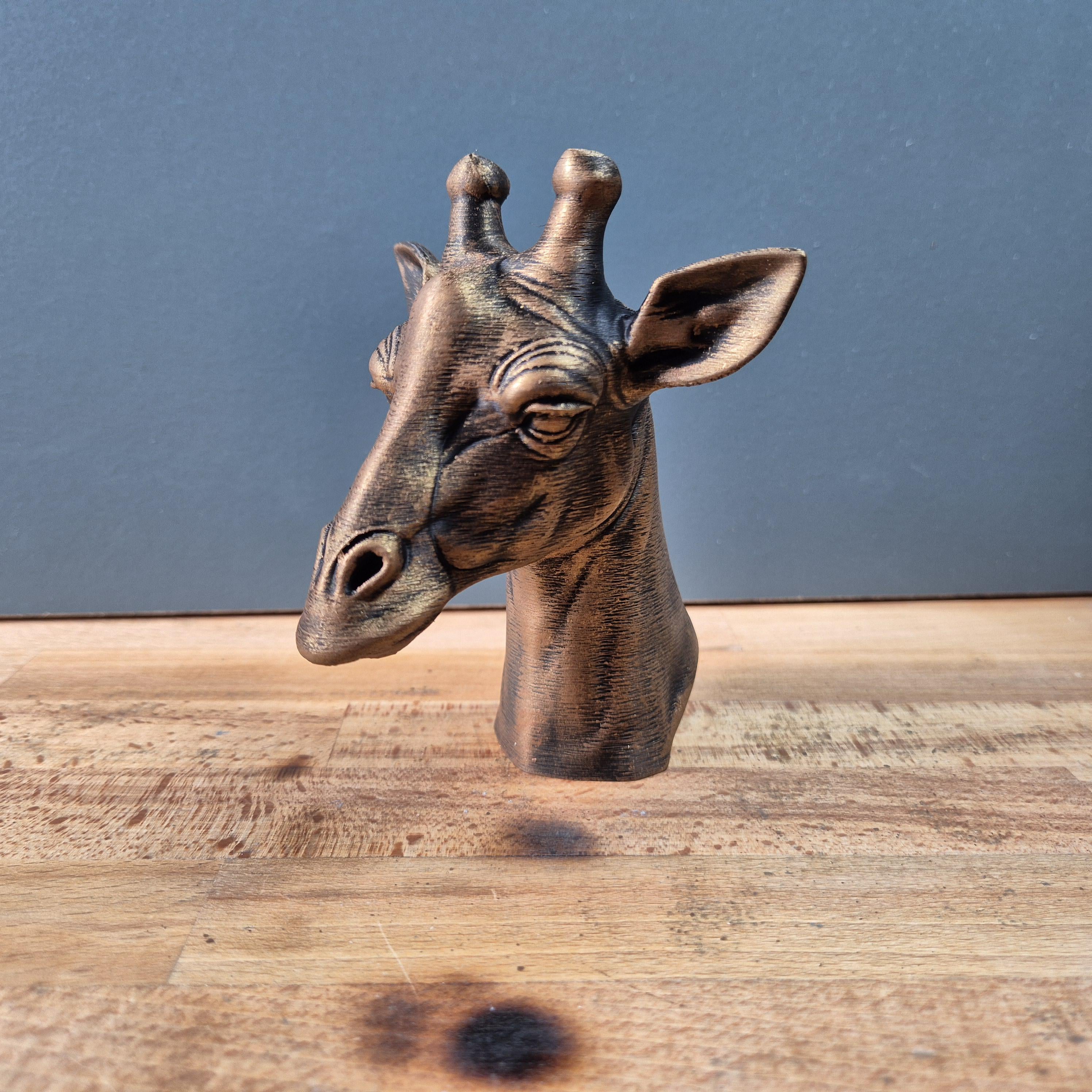 Giraffe – detailreiche Tierbüste mit Stirnzapfen, großen Ohren und langem Hals | 19 Farben & 3 Größen | Made in Germany
