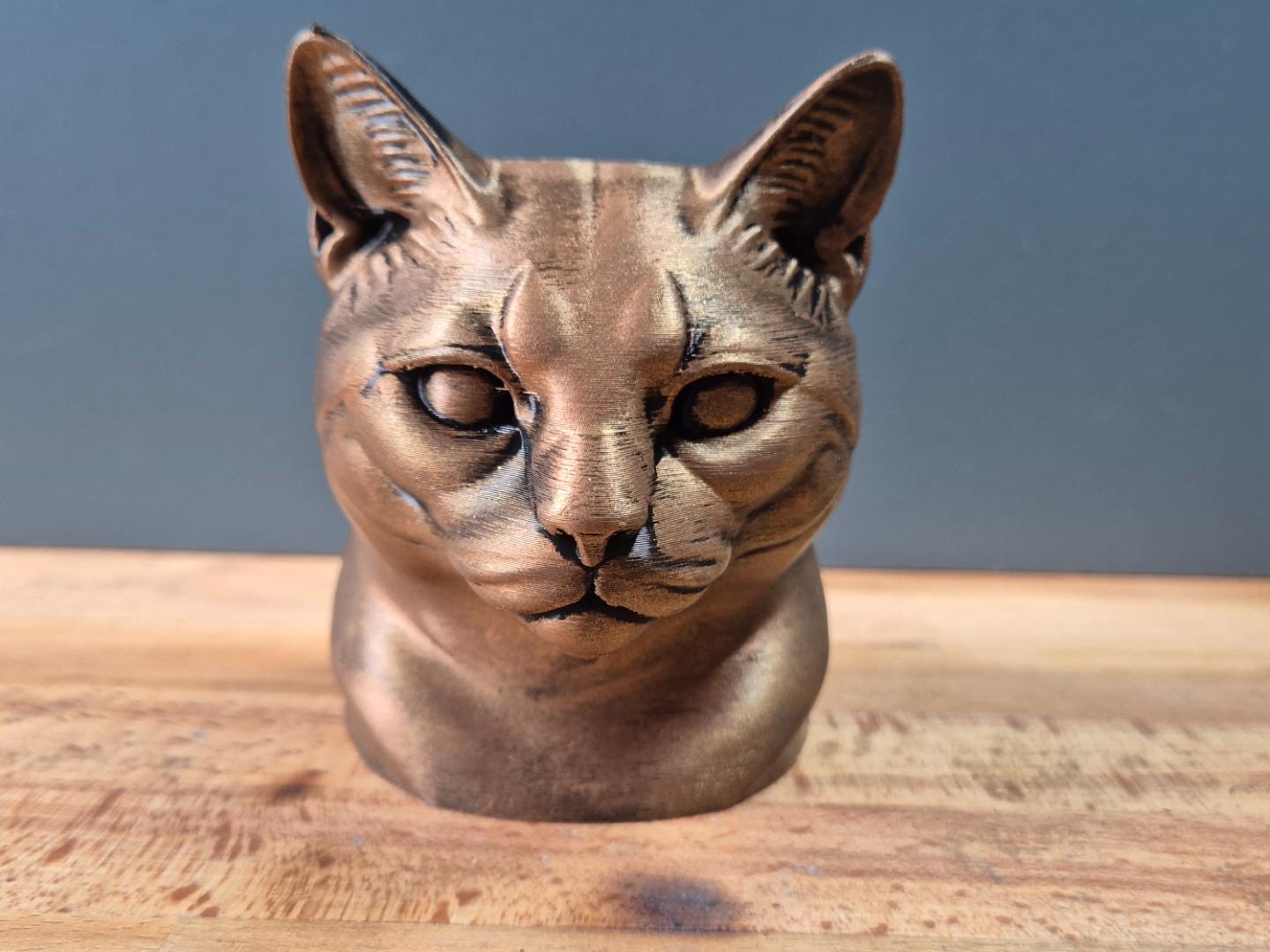 Europäisch Kurzhaar – detailreiche Katzenbüste mit großen Augen | 19 Farben & 3 Größen | Made in Germany