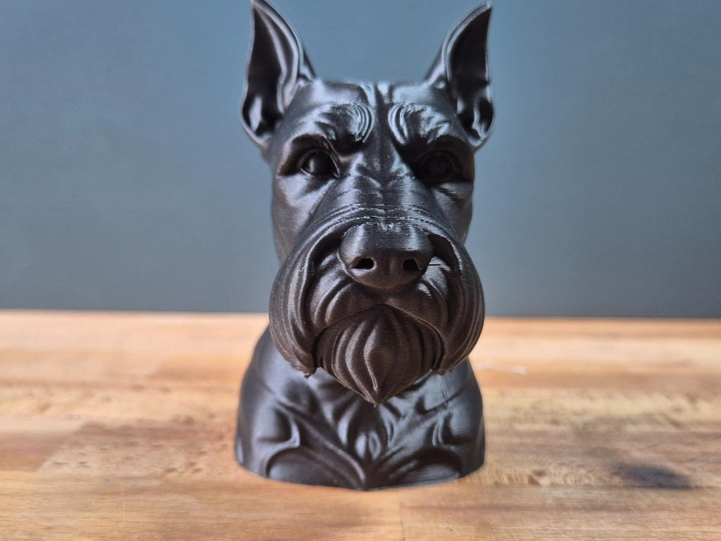 Schnauzer – detailreiche Hundebüste mit markanten Stehohren und Bart | 19 Farben & 3 Größen | Made in Germany