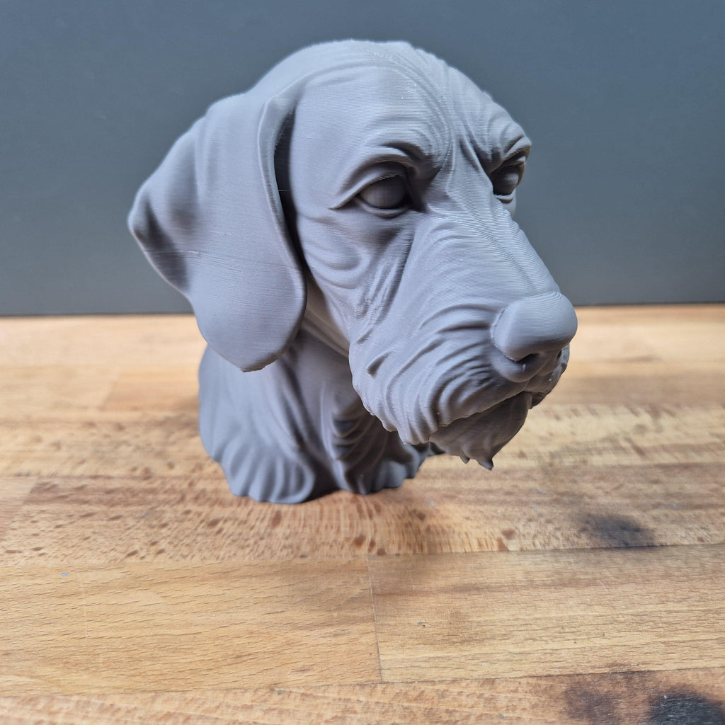 Drahthaar-Vizsla – detailreiche Hundebüste mit Bart und markanter Schnauze | 19 Farben & 3 Größen | Made in Germany