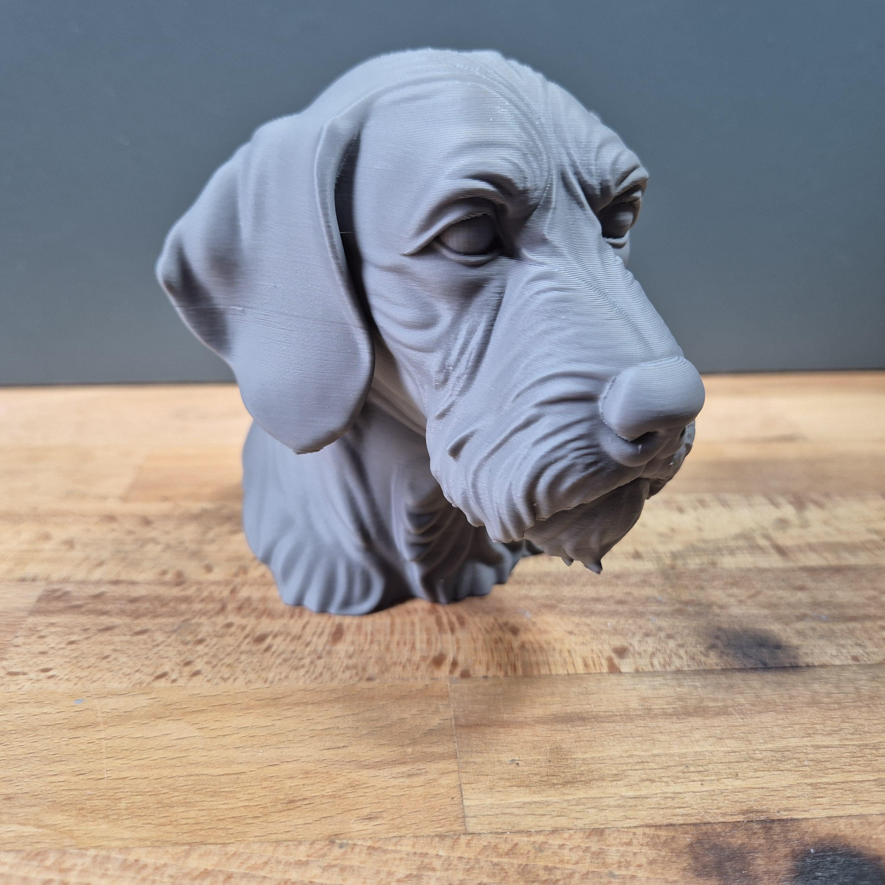 Drahthaar-Vizsla – detailreiche Hundebüste mit Bart und markanter Schnauze | 19 Farben & 3 Größen | Made in Germany