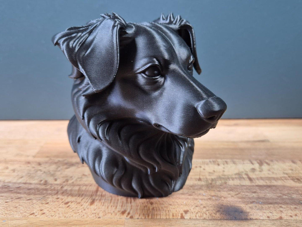 Miniature American Shepherd – detailreiche Hundebüste mit üppigem Brustfell | 19 Farben & 3 Größen | Made in Germany