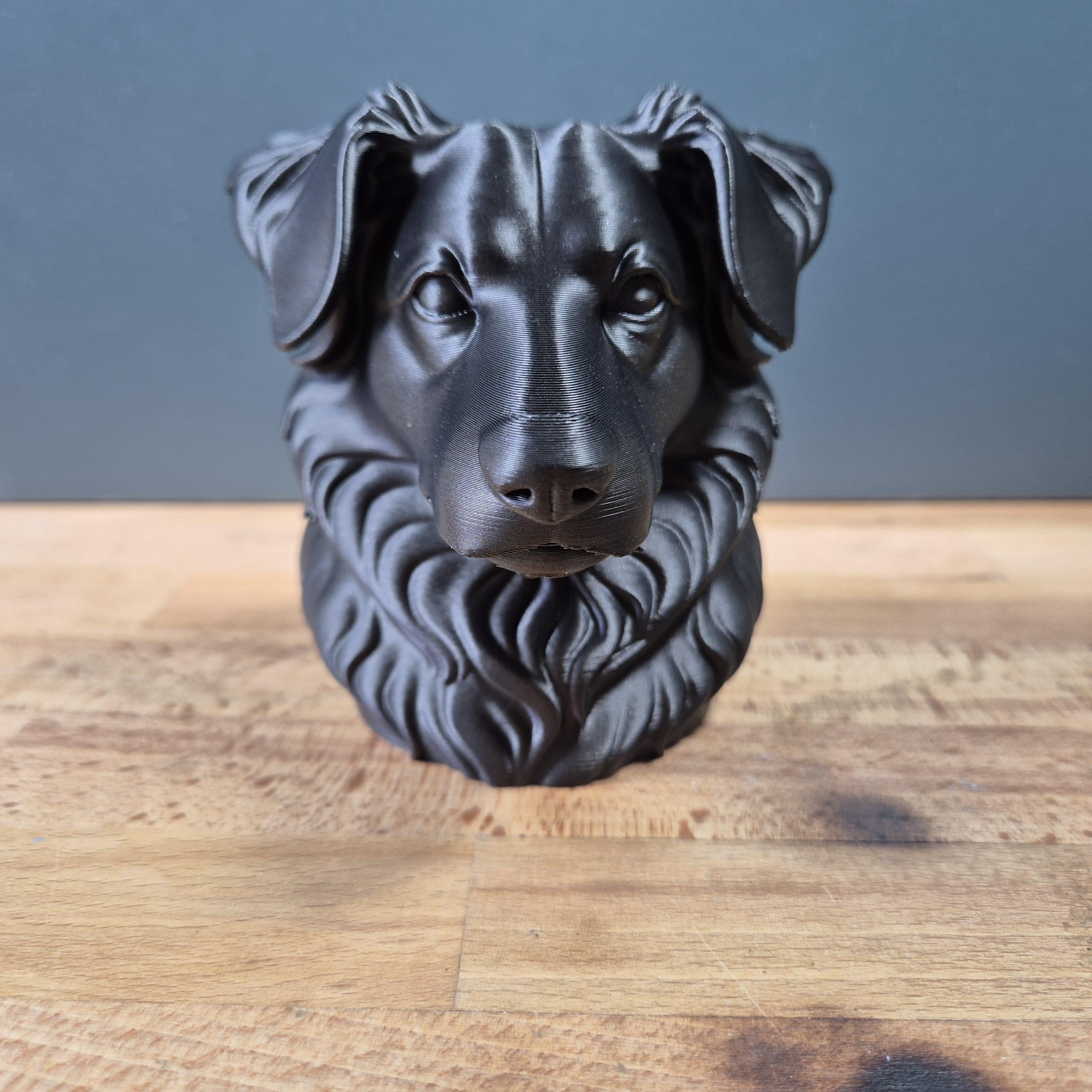 Miniature American Shepherd – detailreiche Hundebüste mit üppigem Brustfell | 19 Farben & 3 Größen | Made in Germany