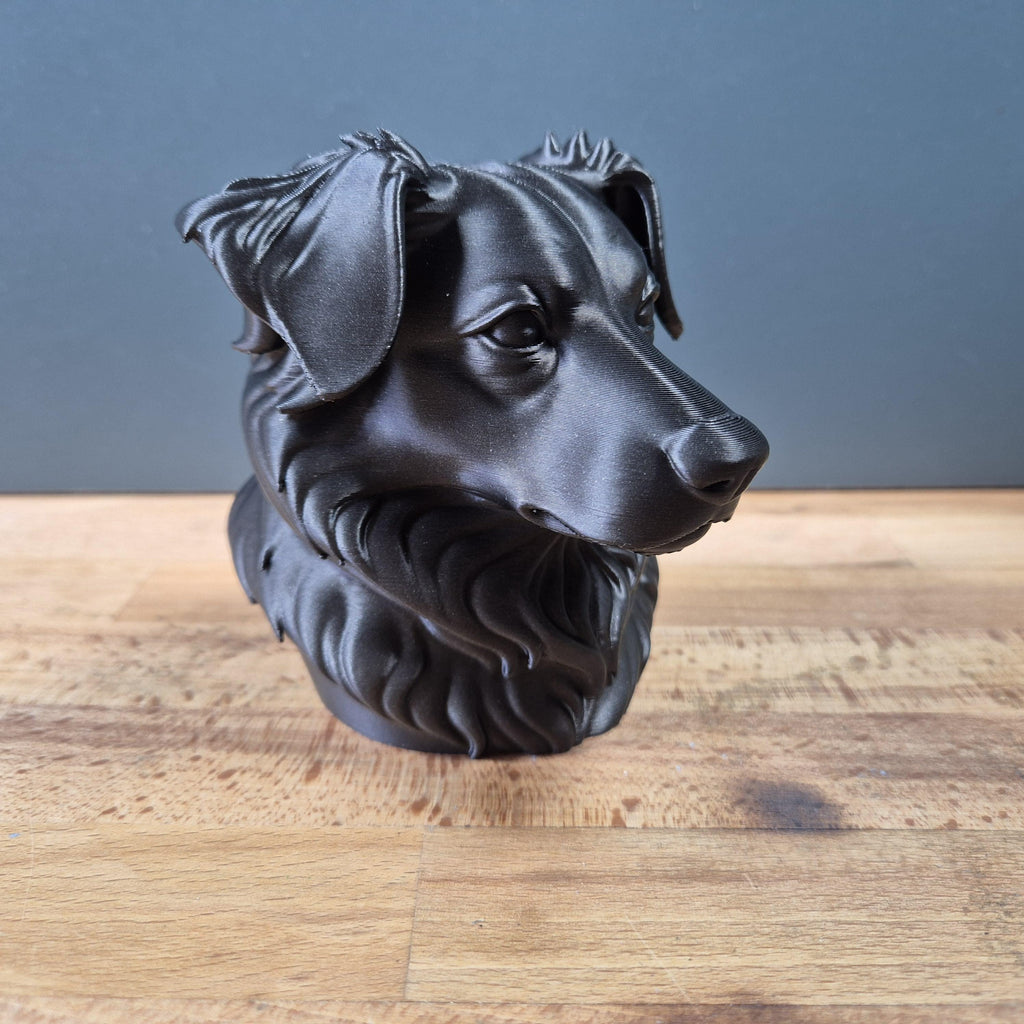 Miniature American Shepherd – detailreiche Hundebüste mit üppigem Brustfell | 19 Farben & 3 Größen | Made in Germany
