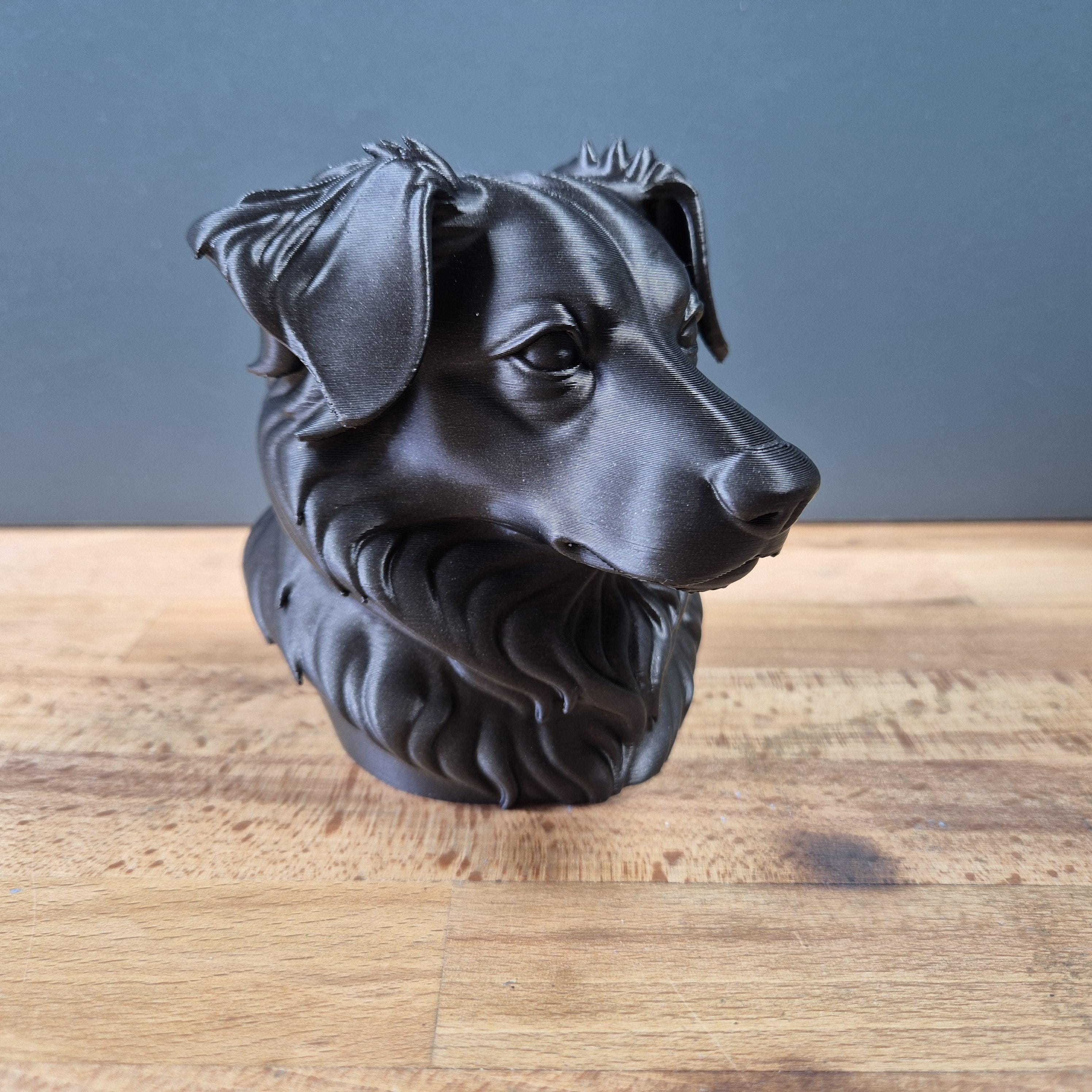 Miniature American Shepherd – detailreiche Hundebüste mit üppigem Brustfell | 19 Farben & 3 Größen | Made in Germany