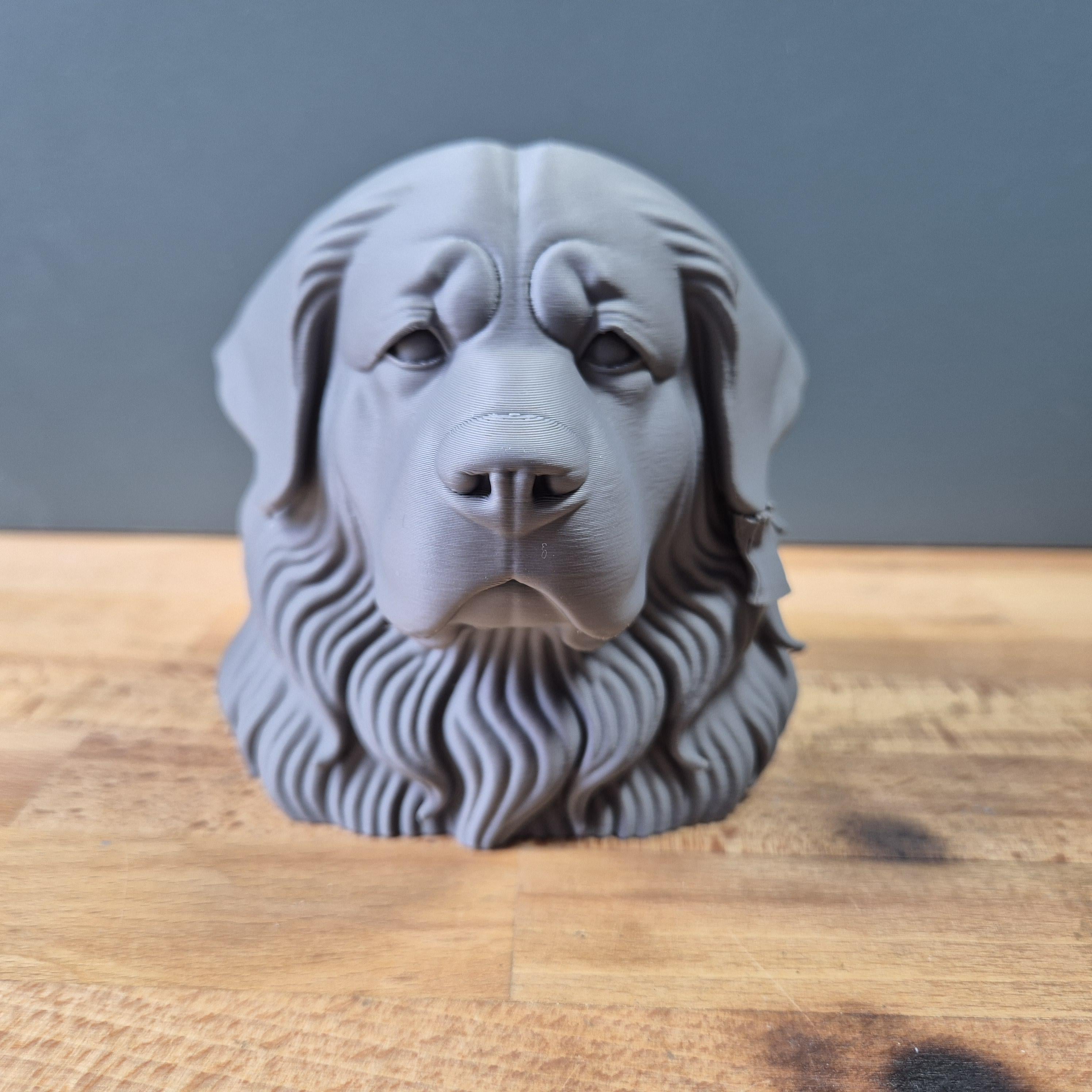 Tibetdogge – detailreiche Hundebüste mit mächtigem Fellkragen | 19 Farben & 3 Größen | Made in Germany