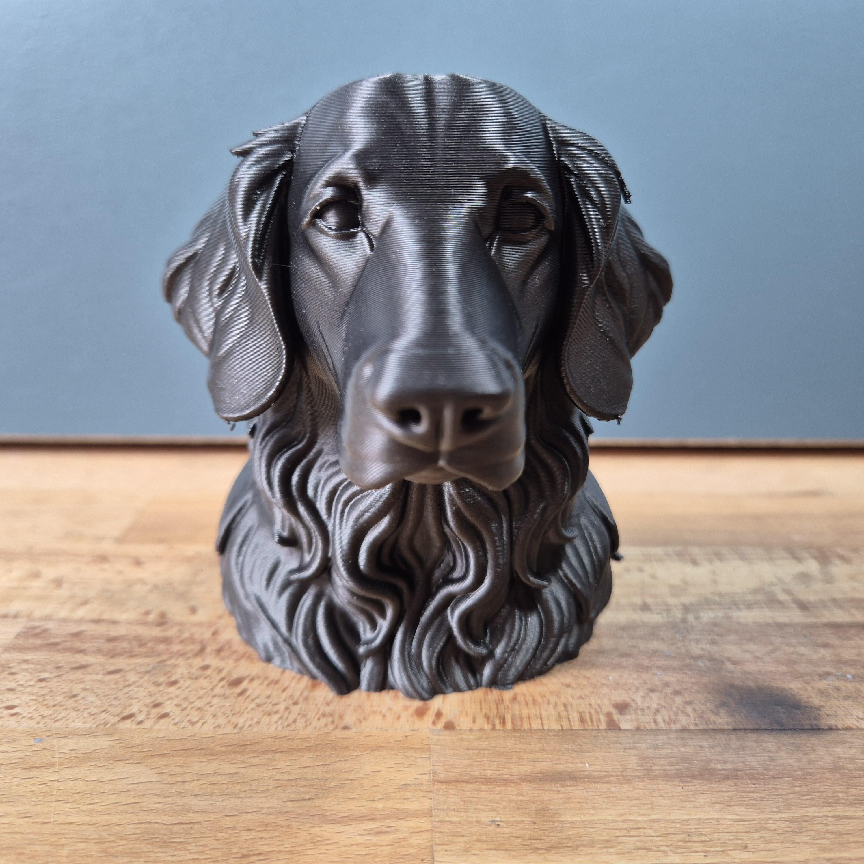 Flat-Coated Retriever – detailreiche Hundebüste mit langem Fell | 19 Farben & 3 Größen | Made in Germany