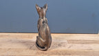 Abessinierkatze – elegante sitzende Katzenfigur | 19 Farben & 3 Größen | Made in Germany