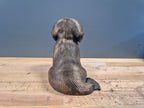 Shih Tzu – sitzende Hundefigur mit Mittelscheitel | Langhaar | 19 Farben & 3 Größen | Made in Germany
