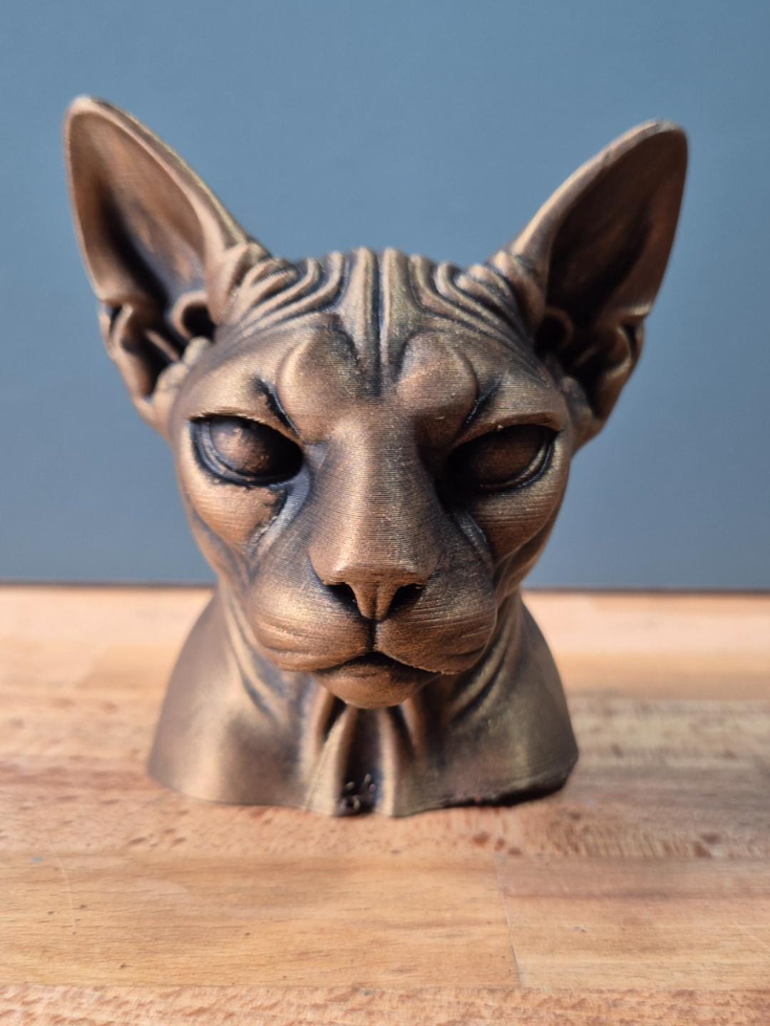 Sphynx-Katze – elegante Katzenbüste mit großen Ohren | 19 Farben & 3 Größen | Made in Germany