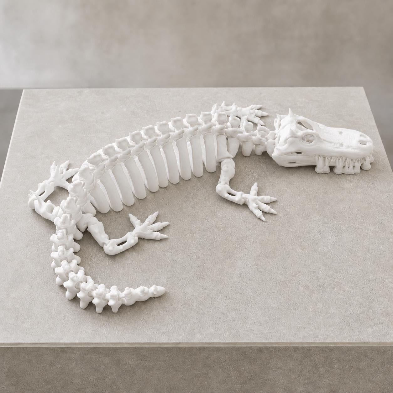 Flexi-Krokodil-Skelett – bewegliche Knochenfigur | 5 Größen & 7 Farben | Made in Germany FehnFactory