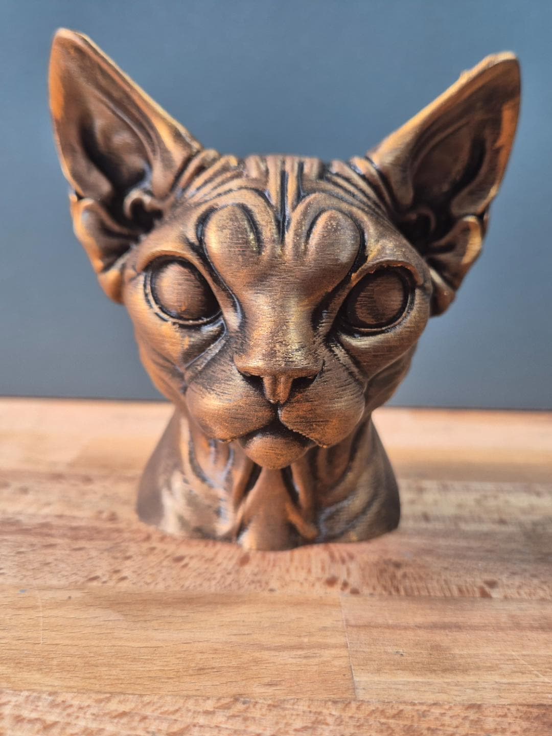 Devon Rex – elegante Katzenbüste mit sehr großen Ohren | 19 Farben & 3 Größen | Made in Germany