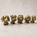 Wackelkopf-Hunde-Set – Dackel, Schnauzer, Chow-Chow, Shih Tzu & Mops | 5 Größen, 7 Farben, 3D-Druck FehnFactory
