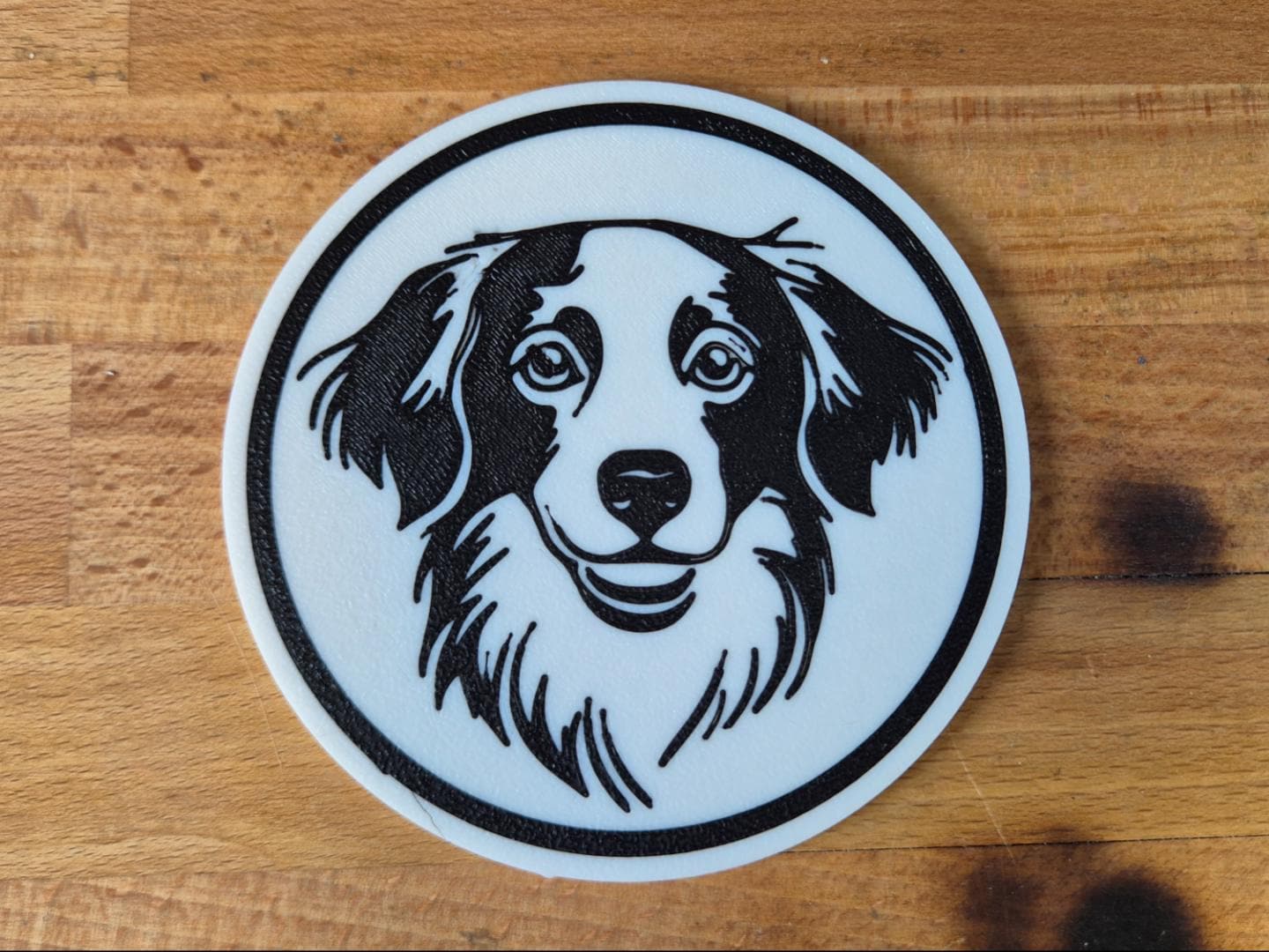 Kooikerhondje Untersetzer 4er Set schwarz weiß 10 cm Made in Germany