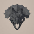 Triceratops-Schädel – Wandskulptur | Urzeit-Wanddeko | Made in Germany FehnFactory