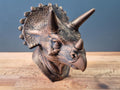 Triceratops – detailreiche Dinosaurierbüste mit drei Hörnern | 19 Farben & 3 Größen | Made in Germany