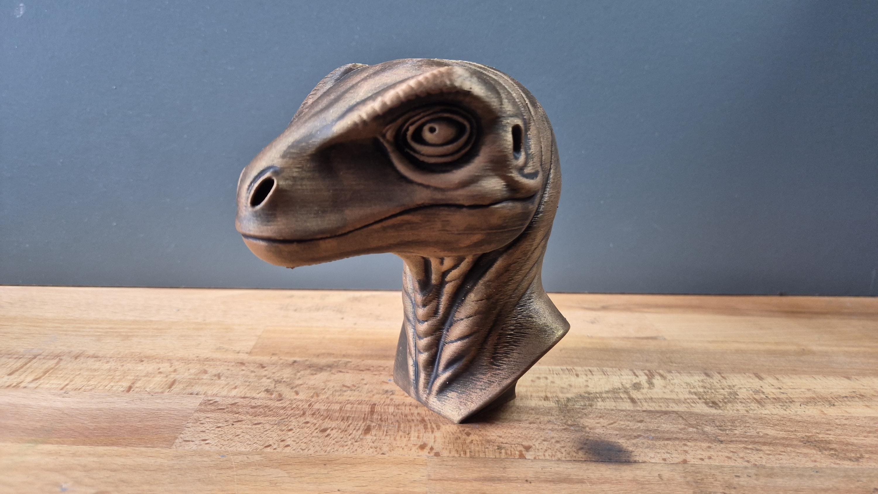 Velociraptor – detailreiche Dinosaurierbüste mit wachem Blick | 19 Farben & 3 Größen | Made in Germany