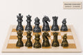 Drachen-Staunton-Schachfigurenset – komplettes 32-teiliges, 3D-gedrucktes PLA-Schachset | Geschenk für Schachfans | Made in Germany FehnFactory