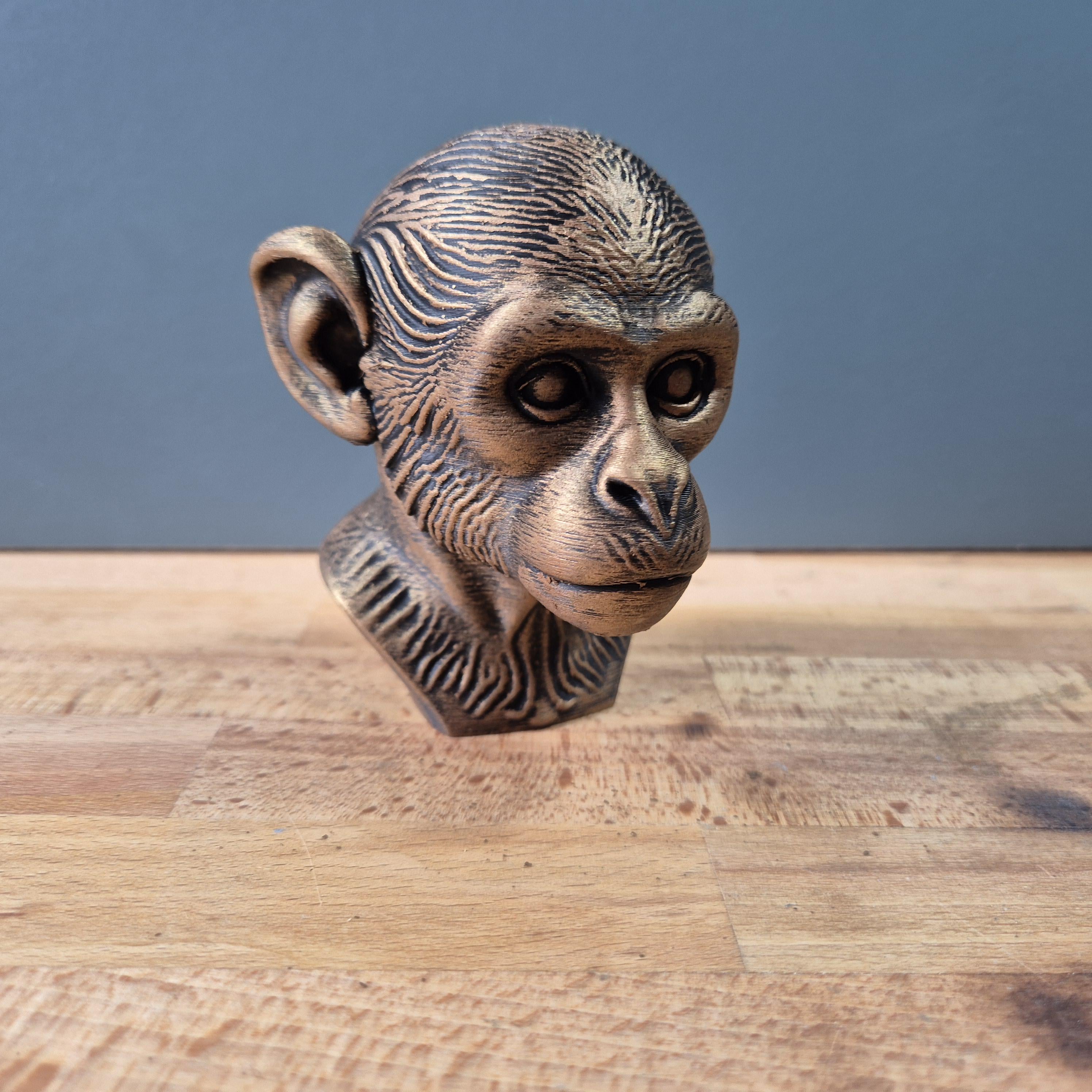 Totenkopfaffe – detailreiche Saimiri-Büste mit großen Augen und Fellrelief | 19 Farben & 3 Größen | Made in Germany