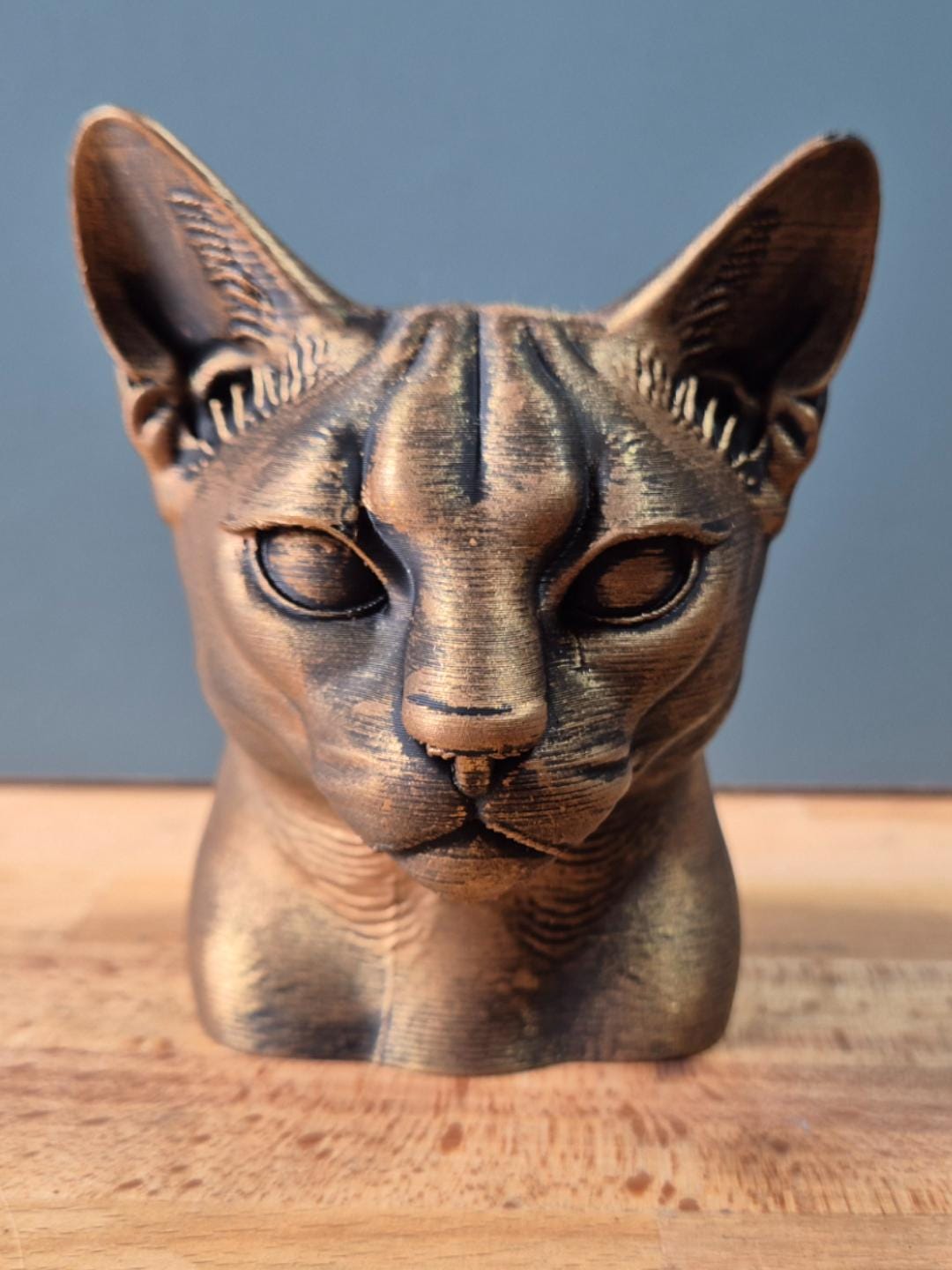 Abessinierkatze – elegante Katzenbüste mit großen Ohren und feinen Gesichtslinien | 19 Farben & 3 Größen | Made in Germany