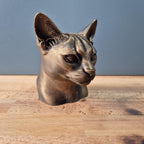 Abessinierkatze – elegante Katzenbüste mit großen Ohren und feinen Gesichtslinien | 19 Farben & 3 Größen | Made in Germany