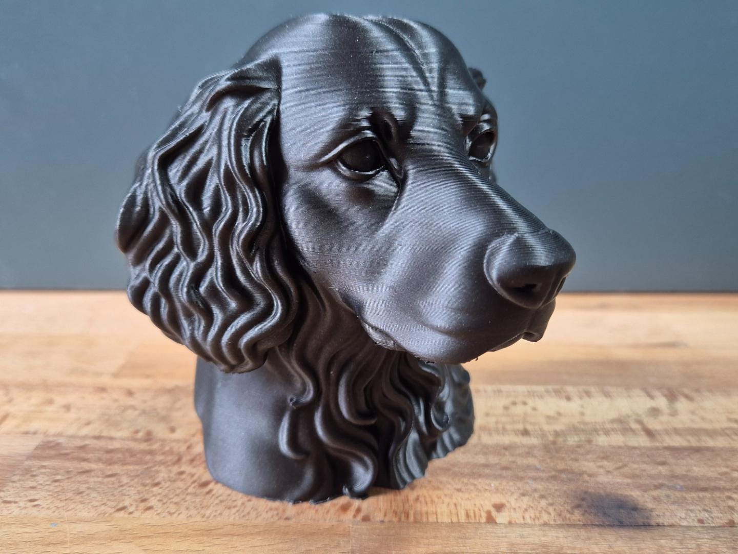 Boykin Spaniel – detailreiche Hundebüste mit langen Wellenohren | 19 Farben & 3 Größen | Made in Germany