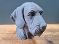 Drahthaar-Vizsla – detailreiche Hundebüste mit Bart und markanter Schnauze | 19 Farben & 3 Größen | Made in Germany