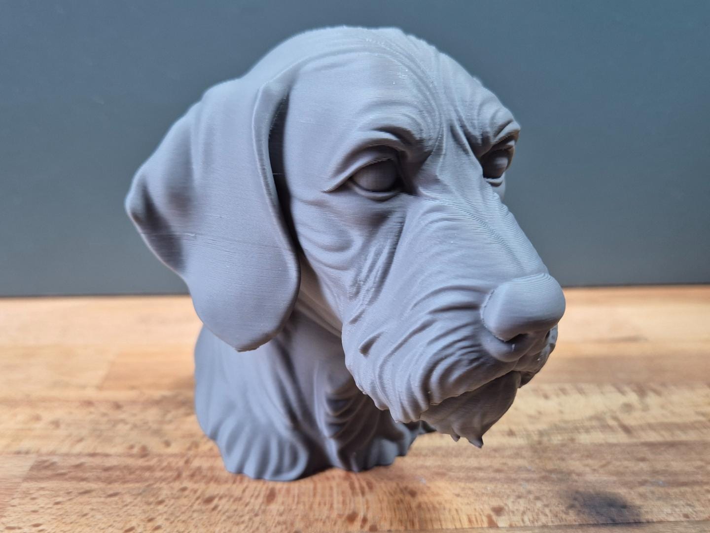 Drahthaar-Vizsla – detailreiche Hundebüste mit Bart und markanter Schnauze | 19 Farben & 3 Größen | Made in Germany
