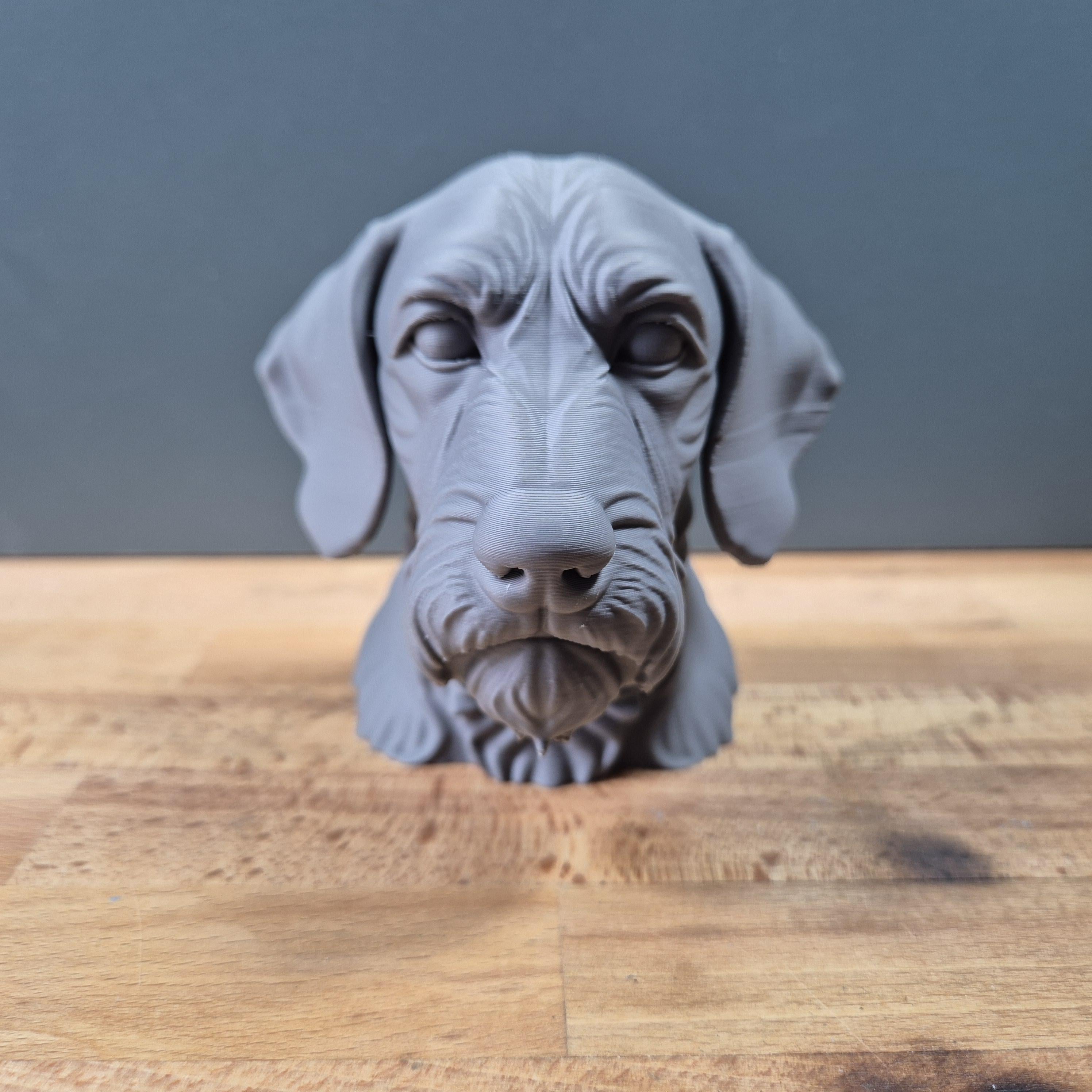 Drahthaar-Vizsla – detailreiche Hundebüste mit Bart und markanter Schnauze | 19 Farben & 3 Größen | Made in Germany