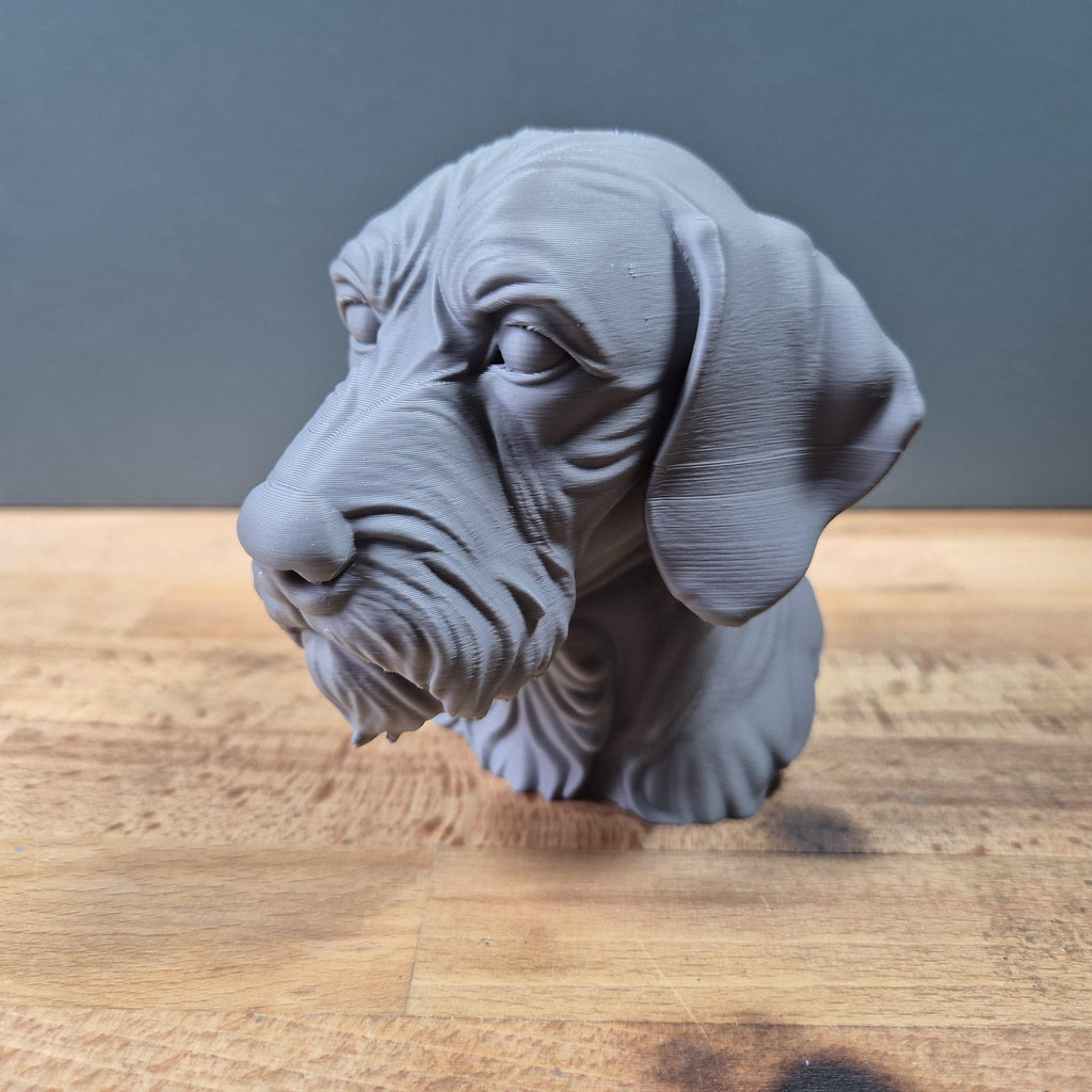 Drahthaar-Vizsla – detailreiche Hundebüste mit Bart und markanter Schnauze | 19 Farben & 3 Größen | Made in Germany