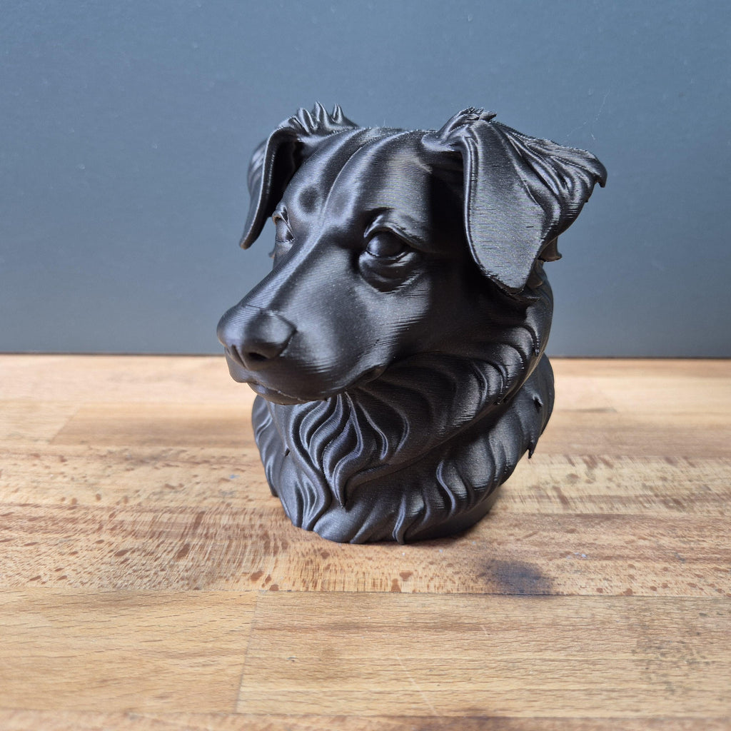 Miniature American Shepherd – detailreiche Hundebüste mit üppigem Brustfell | 19 Farben & 3 Größen | Made in Germany