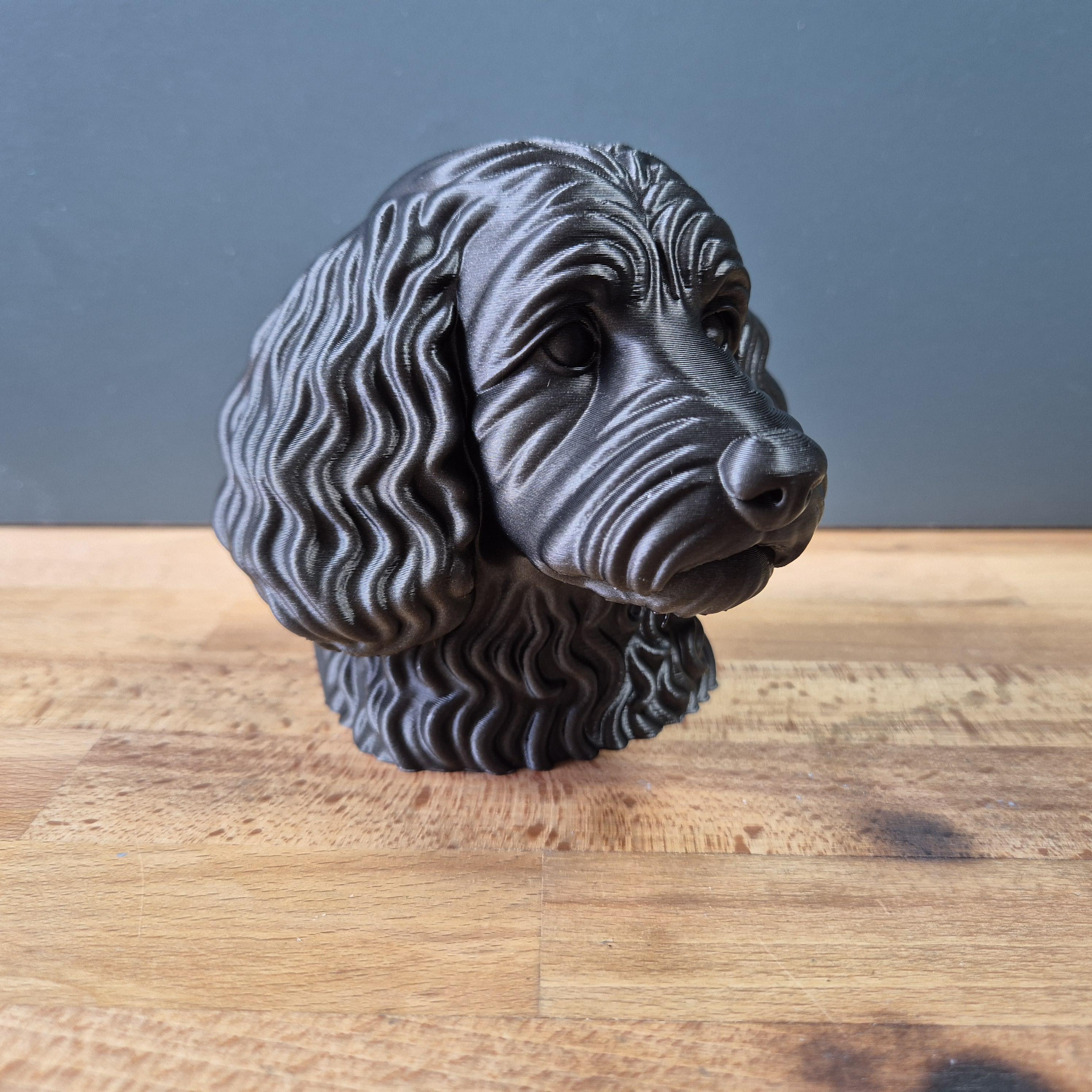 Cockapoo – detailreiche Hundebüste mit langen Wellenohren und Lockenfell | 19 Farben & 3 Größen | Made in Germany