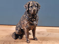 Berner Sennenhund – detailreiche sitzende Hundefigur | 19 Farben & 3 Größen | Made in Germany