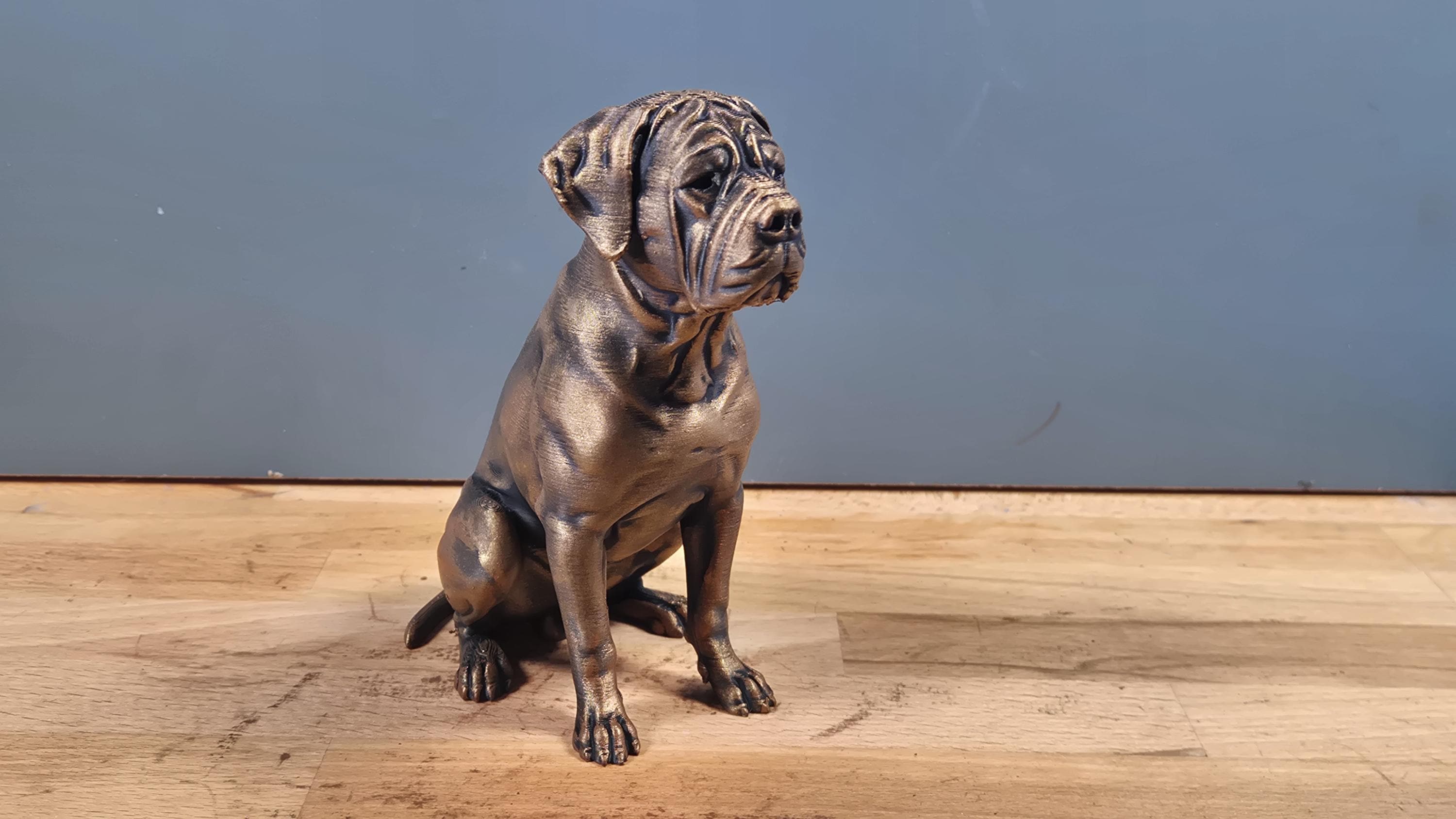 Cane Corso – detailreiche sitzende Hundefigur | 19 Farben & 3 Größen | Made in Germany