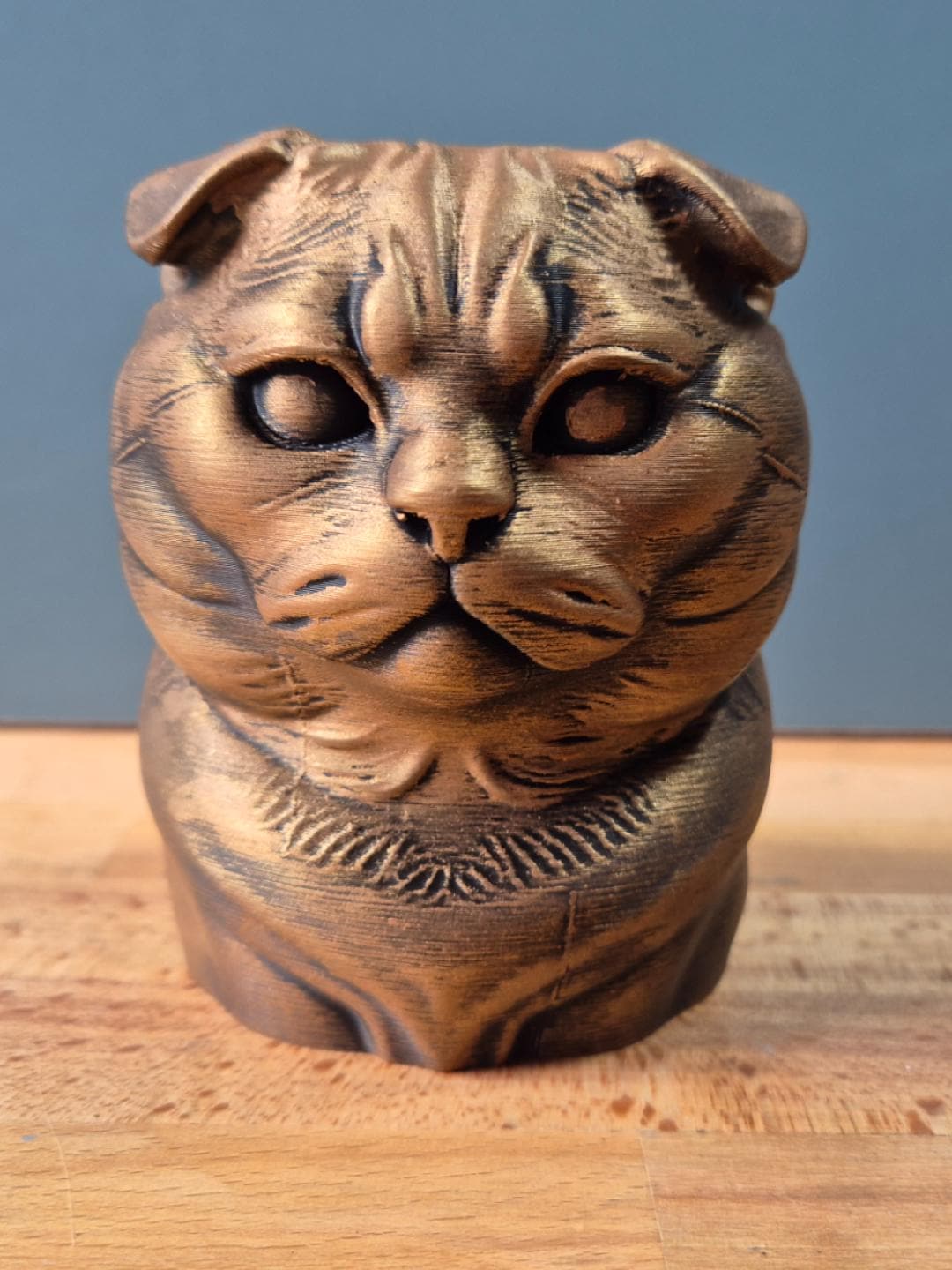 Scottish Fold Katze – kompakte Katzenbüste mit Faltohren | 19 Farben & 3 Größen | Made in Germany
