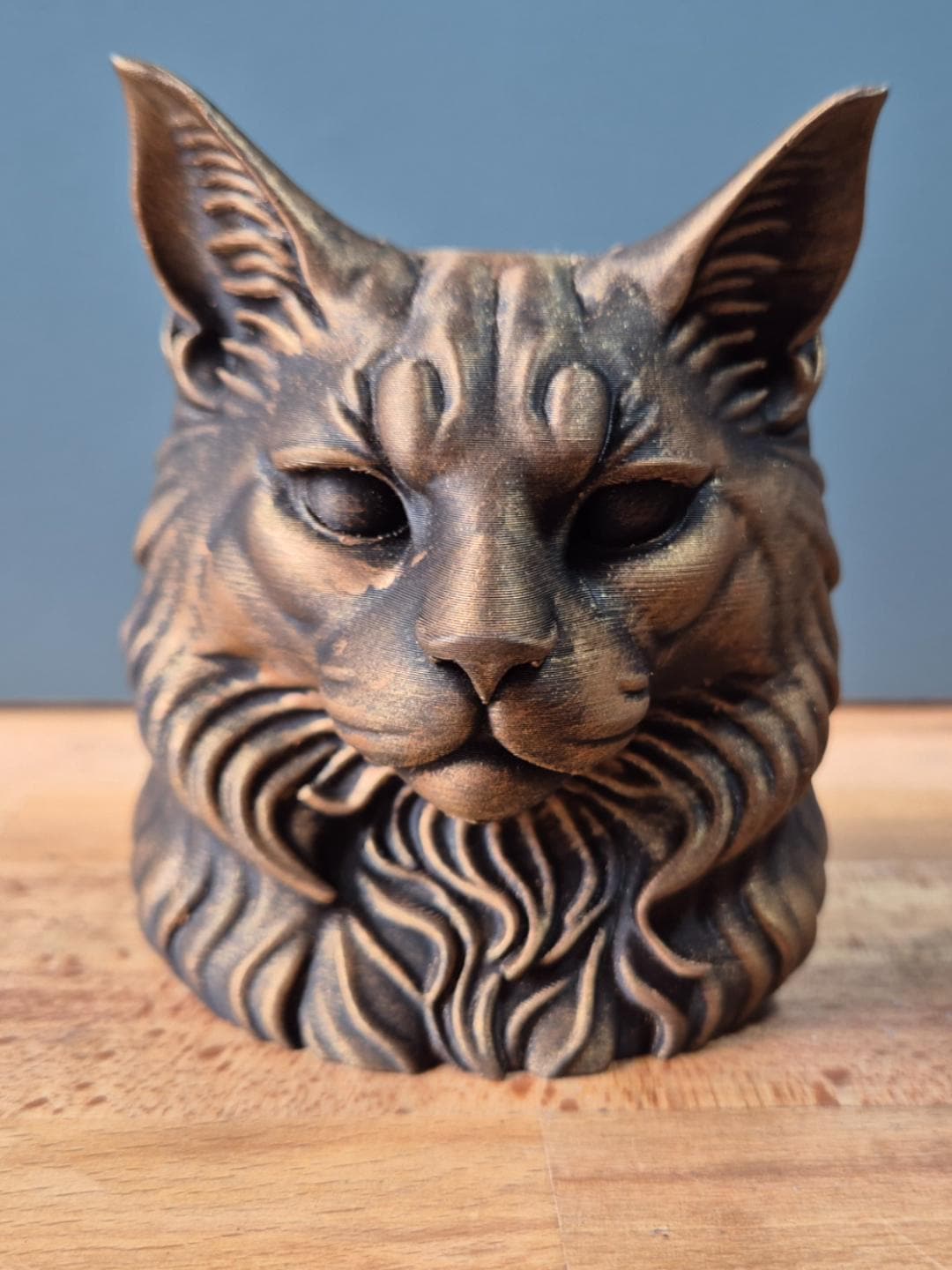 Maine Coon – kompakte Katzenbüste mit hohen Ohren und Halskrause | 19 Farben & 3 Größen | Made in Germany