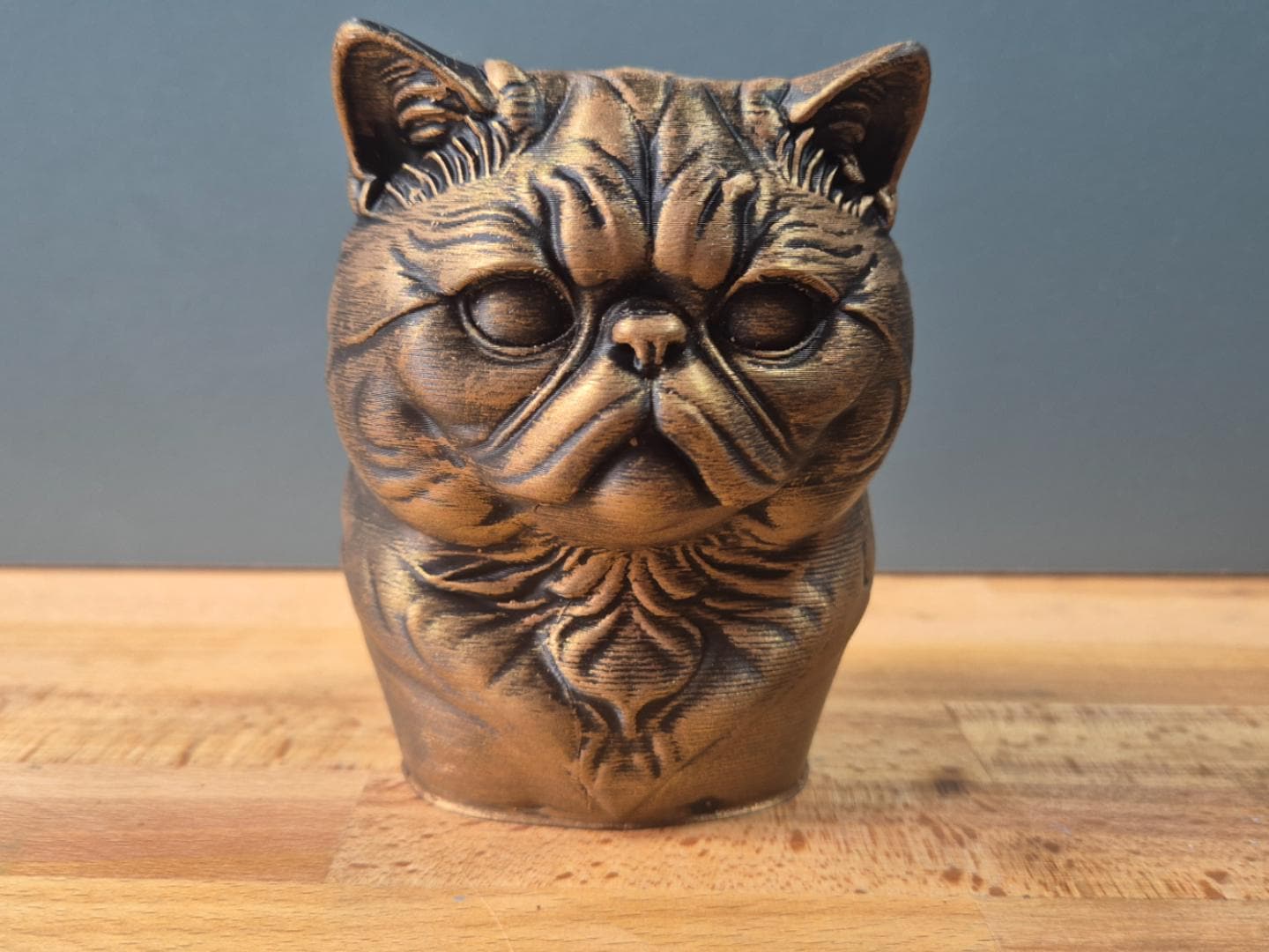 Exotic Shorthair – kompakte Katzenbüste mit flacher Schnauze | 19 Farben & 3 Größen | Made in Germany