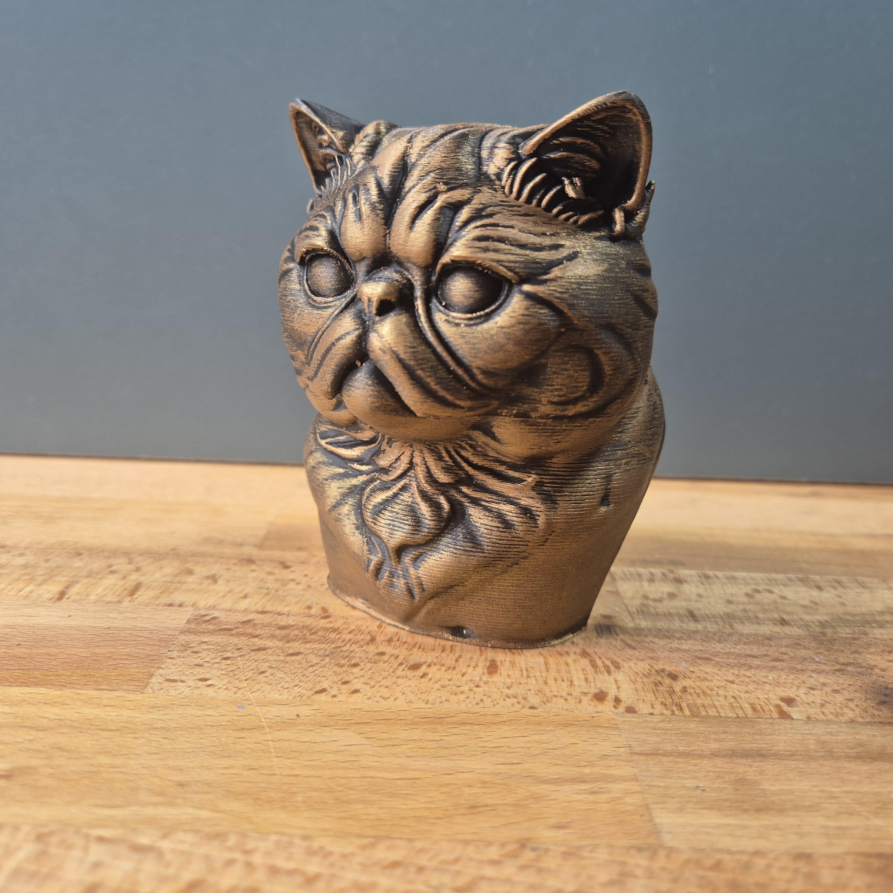 Exotic Shorthair – kompakte Katzenbüste mit flacher Schnauze | 19 Farben & 3 Größen | Made in Germany