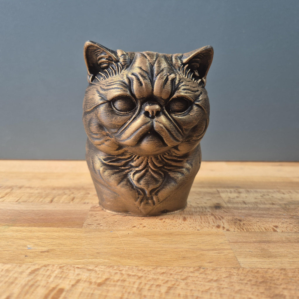 Exotic Shorthair – kompakte Katzenbüste mit flacher Schnauze | 19 Farben & 3 Größen | Made in Germany
