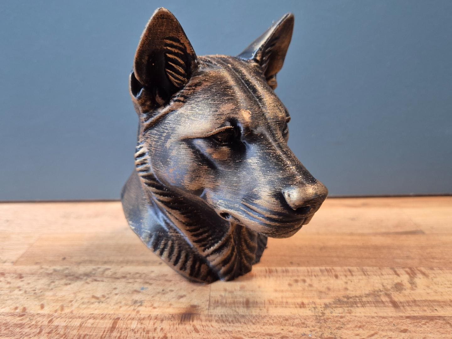 Dingo-Büste – realistischer australischer Wildhund | Hundefigur | 19 Farben & 3 Größen