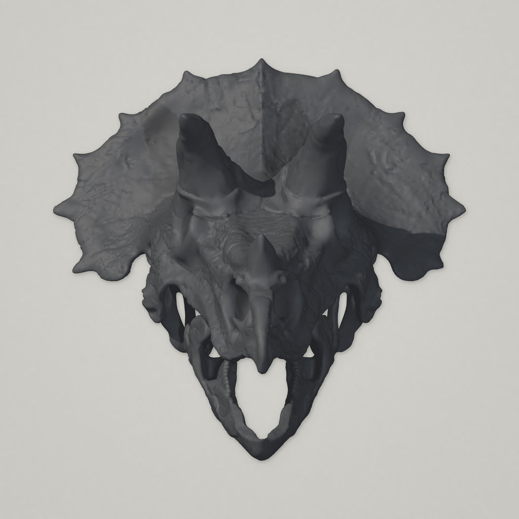 Triceratops-Schädel – Wandskulptur | Urzeit-Wanddeko | Made in Germany FehnFactory