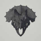 Triceratops-Schädel – Wandskulptur | Urzeit-Wanddeko | Made in Germany FehnFactory