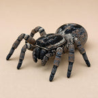 Siebenbeinige Springspinne – Asymmetrische Spinnenfigur | Made in Germany FehnFactory