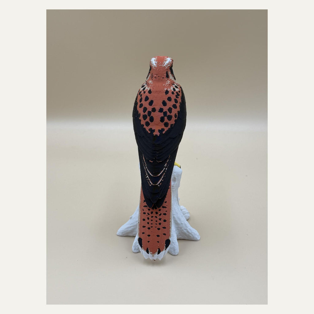 Skyfire Turmfalke – mehrfarbige Falken-Skulptur auf Ast | Raubvogel-Deko | Made in Germany FehnFactory