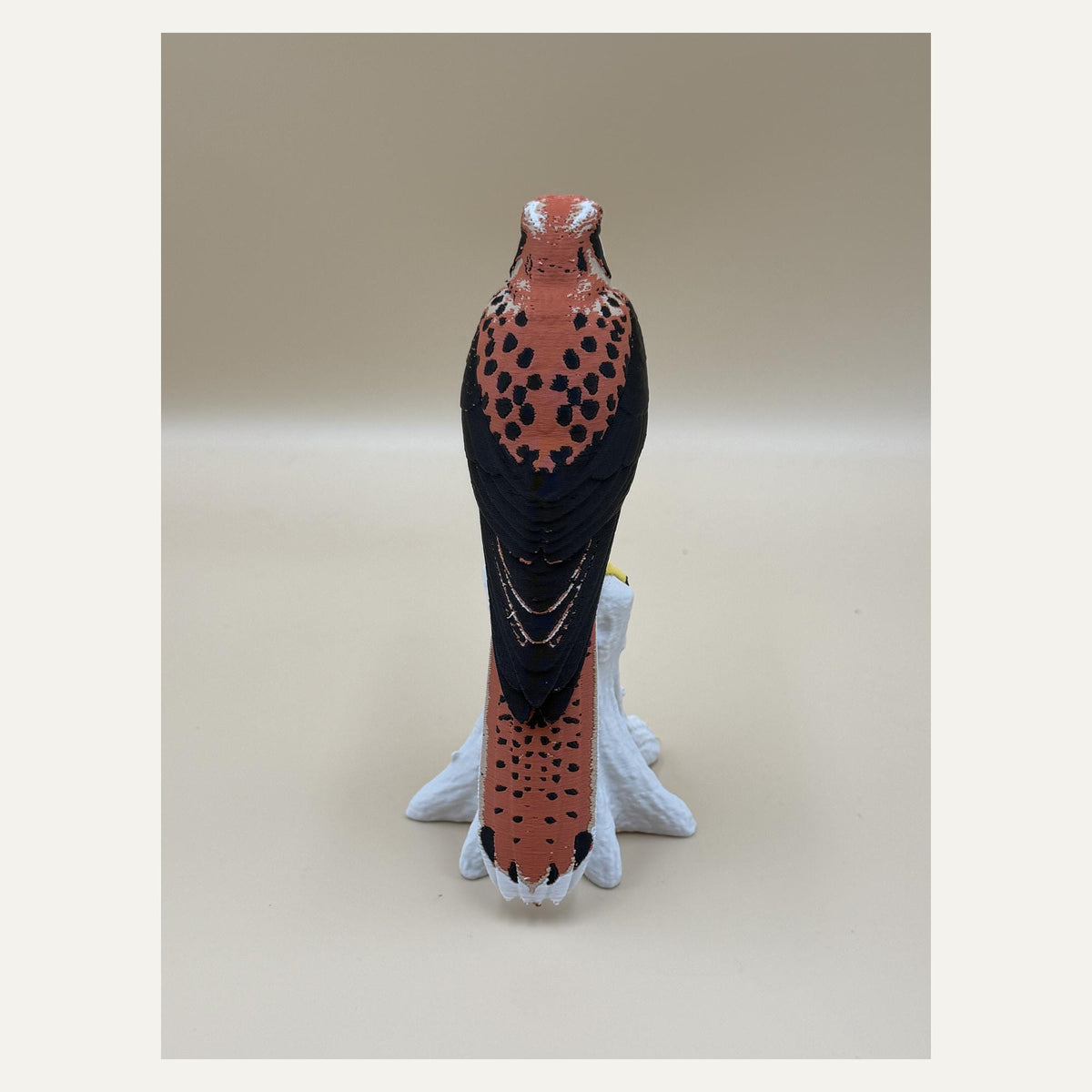 Skyfire Turmfalke – mehrfarbige Falken-Skulptur auf Ast | Raubvogel-Deko | Made in Germany FehnFactory