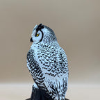 Arctic Guardian Owl – weiße Eulen-Skulptur auf Baumstumpf | Wintervogel-Deko | Made in Germany FehnFactory