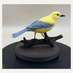 Sunlit Golden Warbler – Goldlaubsänger auf Ast | Mehrfarbige Vogel-Skulptur | Made in Germany